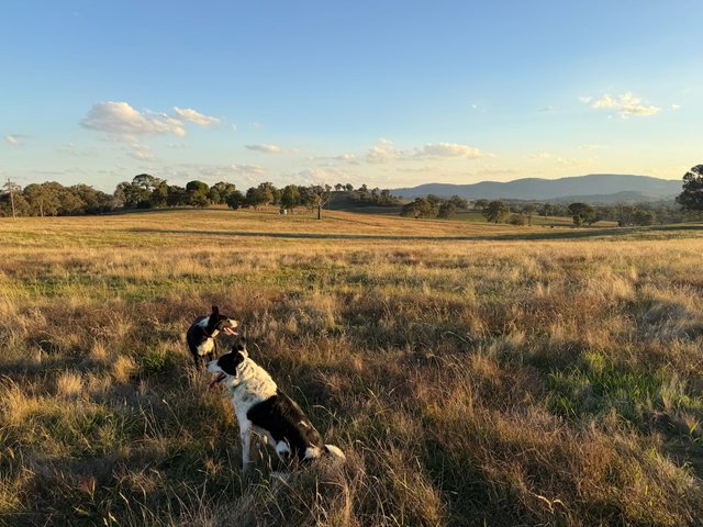 Camerons Hill Lot 172 Reynolds Lane, NSW 2584