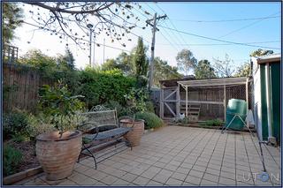 Backyard (2014-11-07)