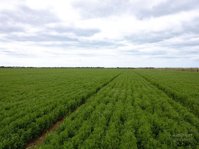 Sheoak Beach Road, SA 5583