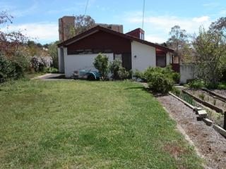 Rear yard (2004-05-21)