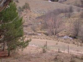 Land (2003-04-16)