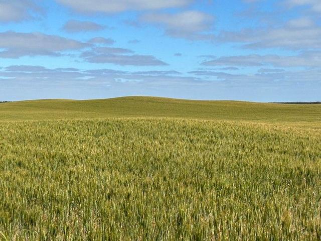 163 McAskill Road, SA 5632