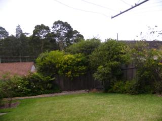 Standard Photo (2010-12-08)