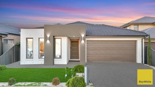 53 Bridport Circuit, VIC 3029