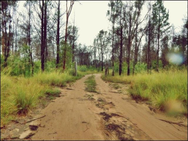 (no street name provided), QLD 4357