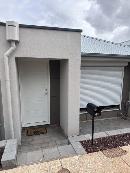43 Pedler, SA 5114