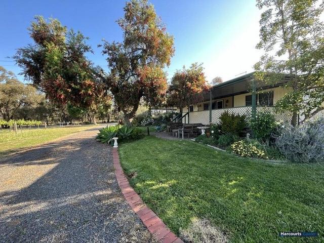 216 Seppeltsfield Road, SA 5355
