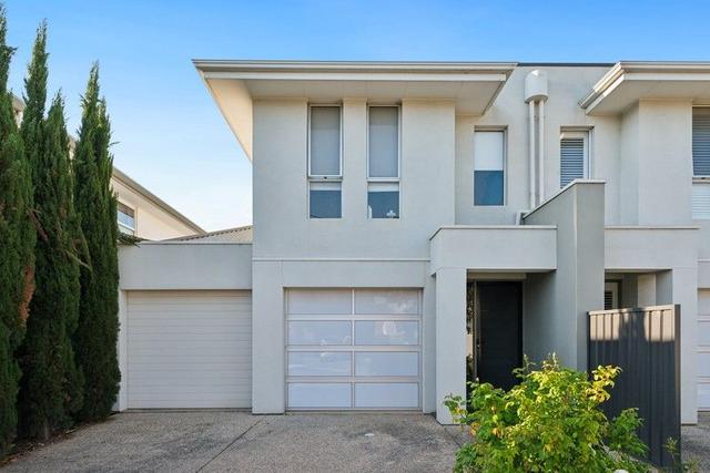 6 Harrison Street, SA 5022