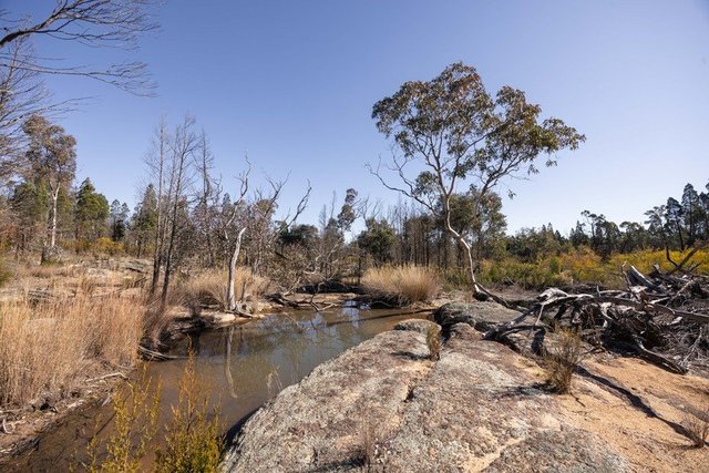 250 Springwood Park Road, NSW 2852
