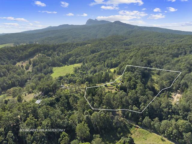 Lot 15/1283 Byrrill Creek Road, NSW 2484