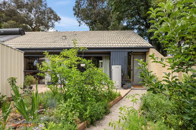 3M Tristania Street, ACT 2611