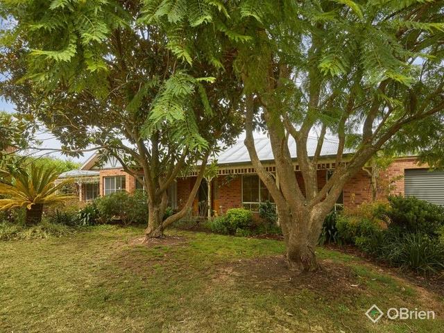 3 Pepperell Drive, VIC 3818