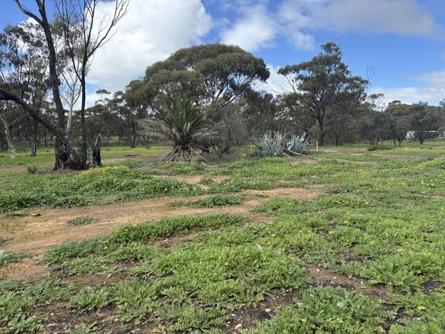 3 Scaddan Street, WA 6460