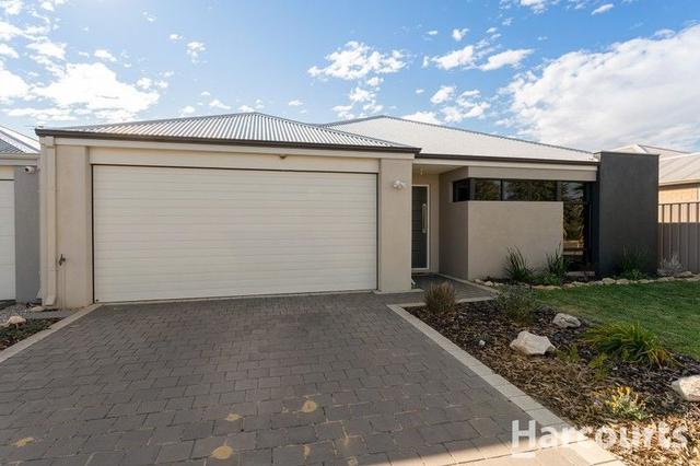 7 Isabelline Terrace, WA 6176