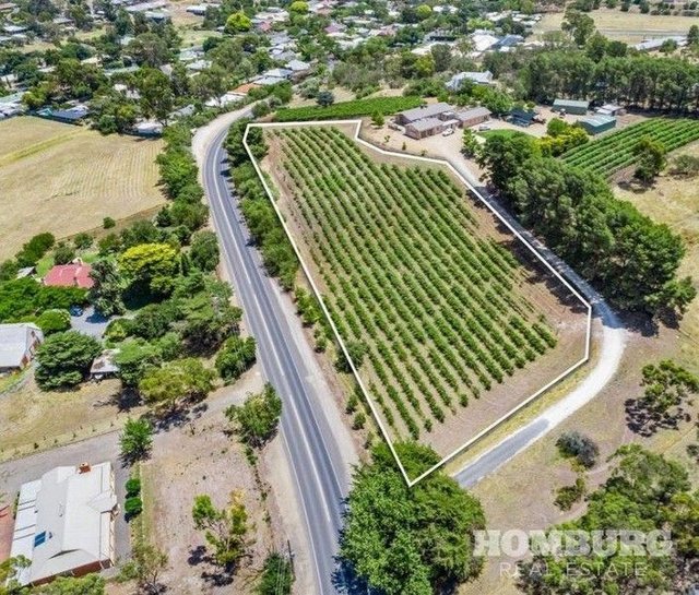 Real Estate for Sale in Angaston, SA 5353 Allhomes