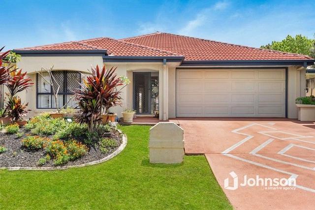 46 Spinnaker Circuit, QLD 4165