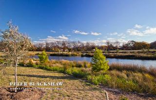 Wetlands (2013-06-12)