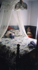 Bed 1 (2004-03-18)