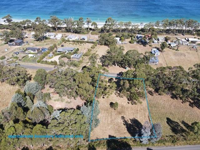 21 Dunn Drive, TAS 7116