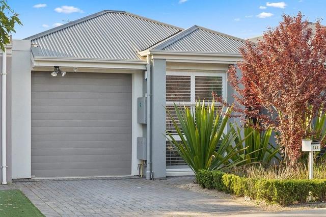 14A Byard Terrace, SA 5043