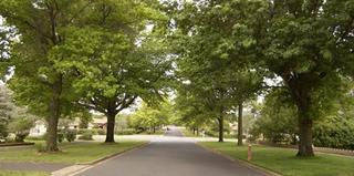 View of street