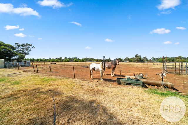 3135 Canola Way, NSW 2701