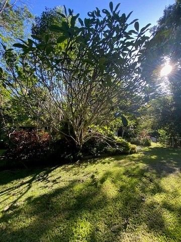 258 Ganyan Drive, QLD 4881