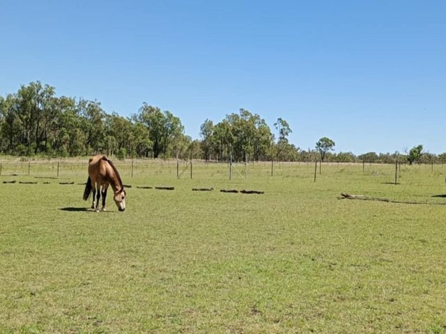 (no street name provided), QLD 4610