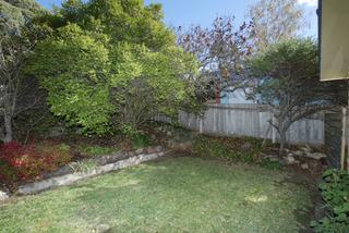 Rear garden (2006-05-16)