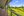 62 Shipway Road, Nimbin NSW 2480, Nimbin - Thumbnail 4