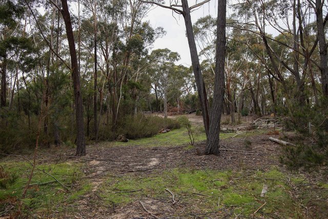 1887 Oallen Ford Road, NSW 2622