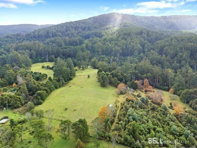 65 Brisbane Hill Road, VIC 3799