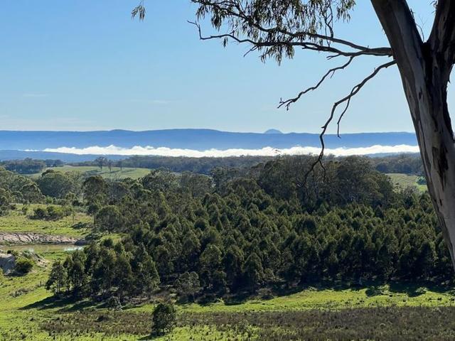 204 Wylie Creek Road, NSW 2372