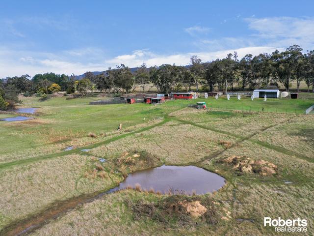 158 Ellendale Road, TAS 7140