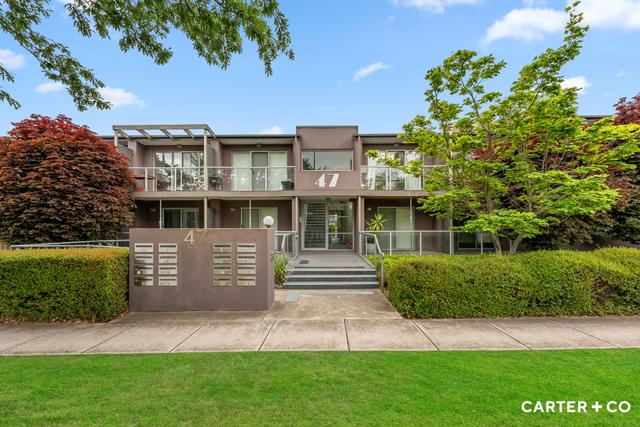 13/47 Majura Avenue, ACT 2602