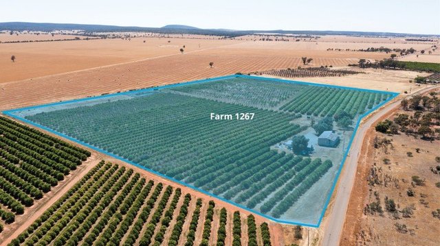 Robinson Road And Corbie Hill Road, NSW 2705