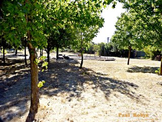 Park