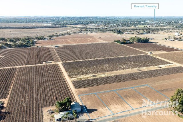 Lot 5, 6, 7 & 8/null Arumpo Street, SA 5341