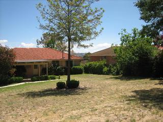 Backyard (2008-11-11)