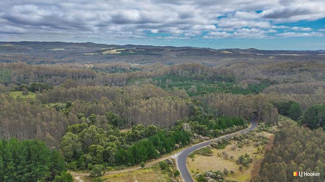 2500 Preolenna Road, TAS 7325