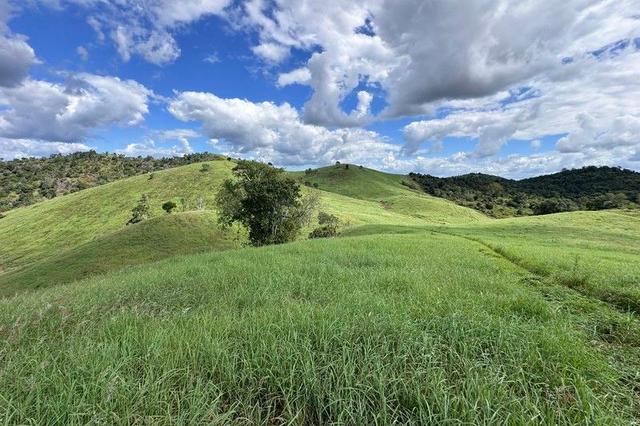 Kellys Road, QLD 4695