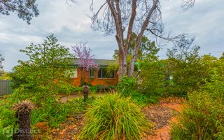 Frontyard