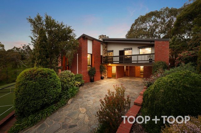 19 Pellew Avenue, SA 5072