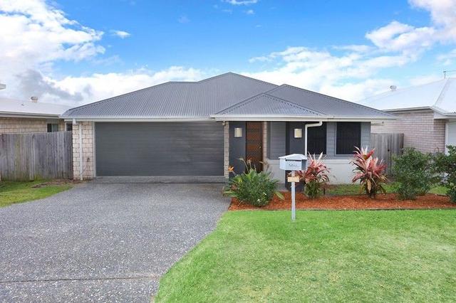 10 McWilliam Street, QLD 4209