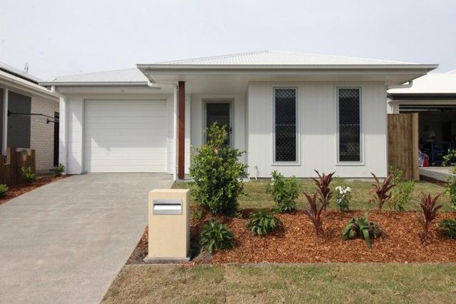 3 Allpass Court, QLD 4551