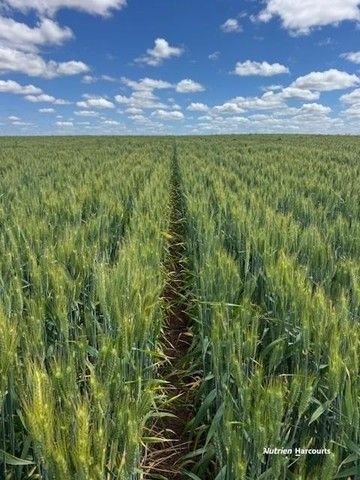 259 Goatcher Road, WA 6609