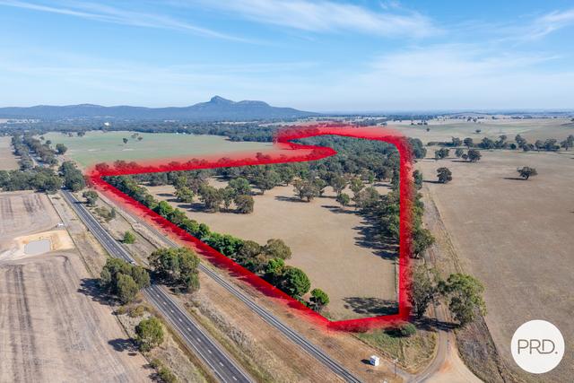 372 Old Trunk Road, NSW 2655