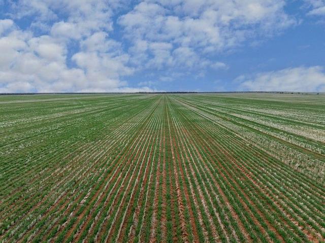 2423 Petro Mail  Road, NSW 2715