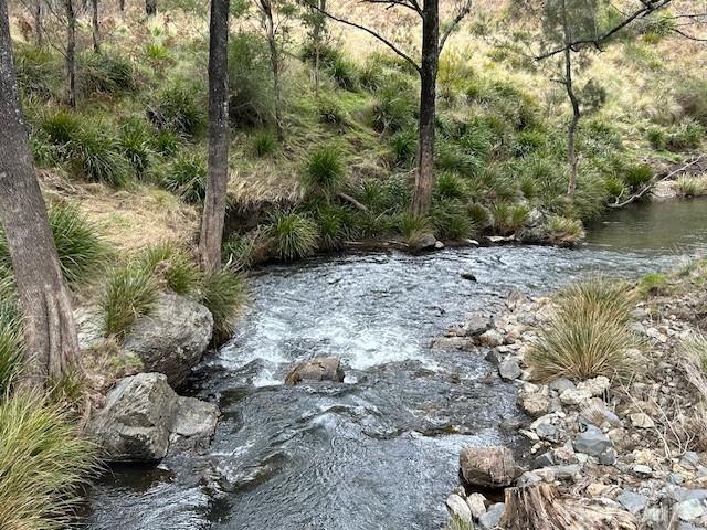 1715 Kangaroo Flat Road, NSW 2354