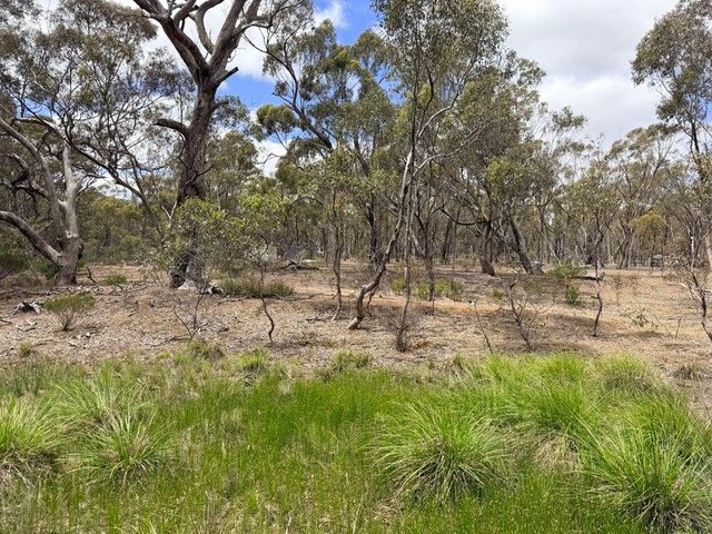 Allotment 1A Wimmera Highway, VIC 3478